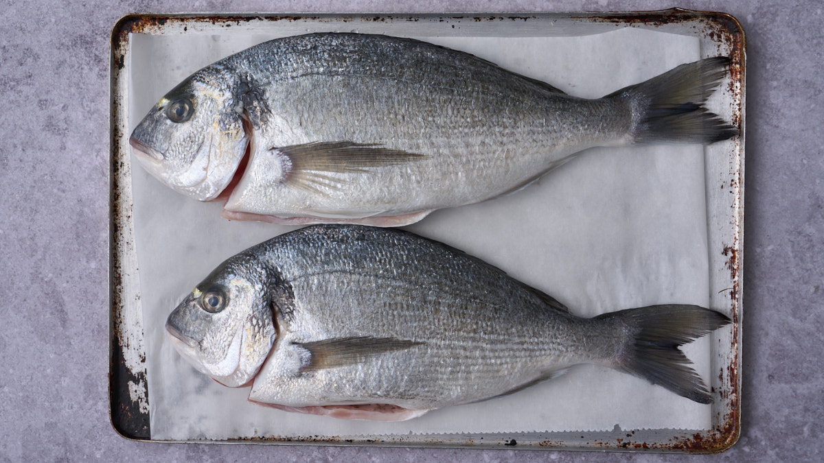 image of 2 whole fresh orate or sea bream n a tray