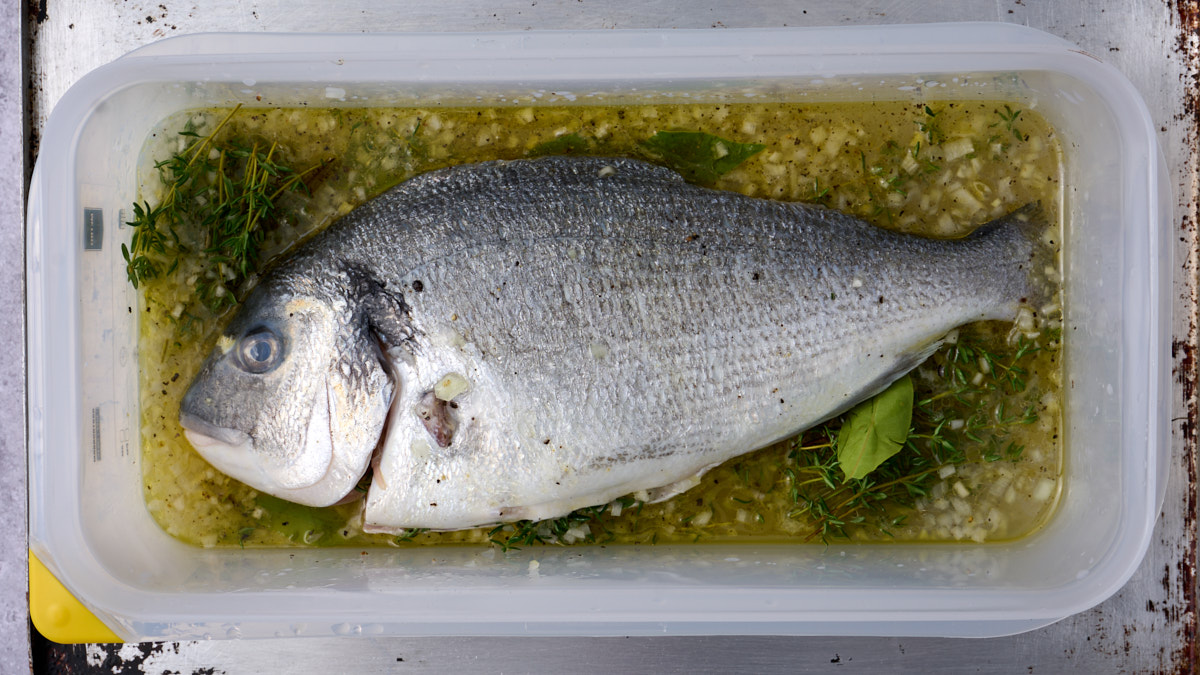 image of orate (sea bream) sitting in a marinade of wine, onion, thyme and oil ready to be cooked as Orate all'Anconetana