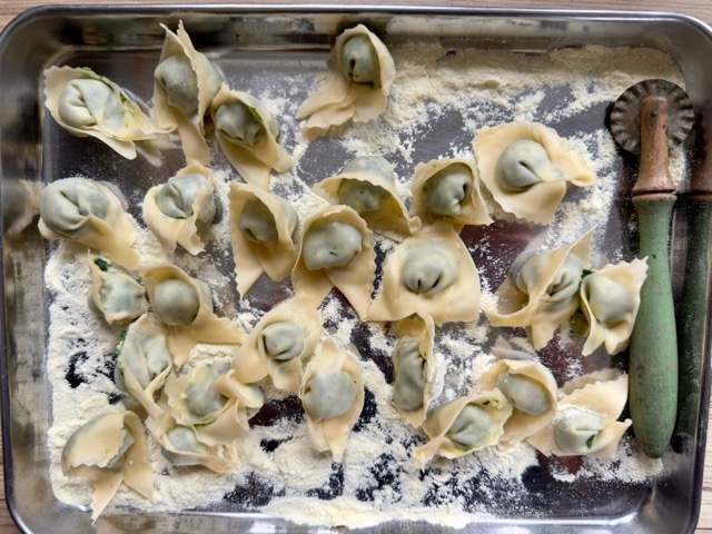 image of pansoti con salsa di noci a Ligurian filled pasta dish of greens just shaped and drying on a tray with a rustic ravioli wheel on the tray.